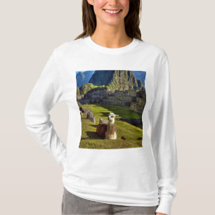Camiseta Peru, Andes, Andes, Montanhas, Machu Picchu