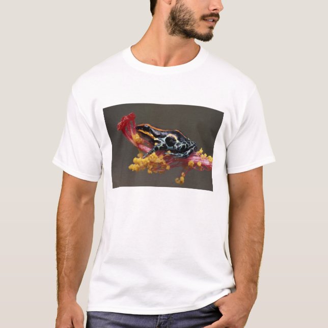 Camiseta Peru, Floresta Amazônica Peruana. Sapo Veneno (Frente)