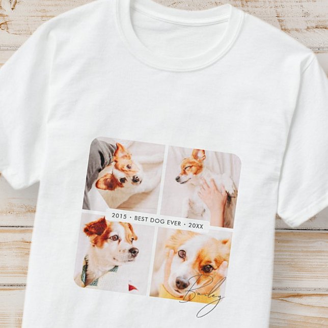 Camiseta Pet Memorial Best Dog Alguma Vez Moderna Colagem d (Criador carregado)
