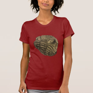 Camiseta Phacops