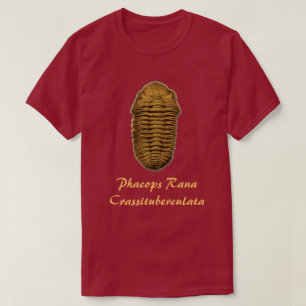 Camiseta Phacops Rana Crassituberculata