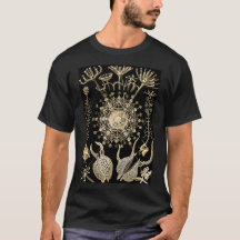 Phaeodaria | 61 Ouro | Ernst Haeckel |