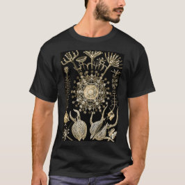 Camiseta Phaeodaria | 61 Ouro | Ernst Haeckel |