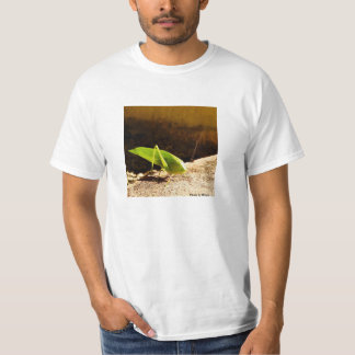 Camiseta photo by Roque