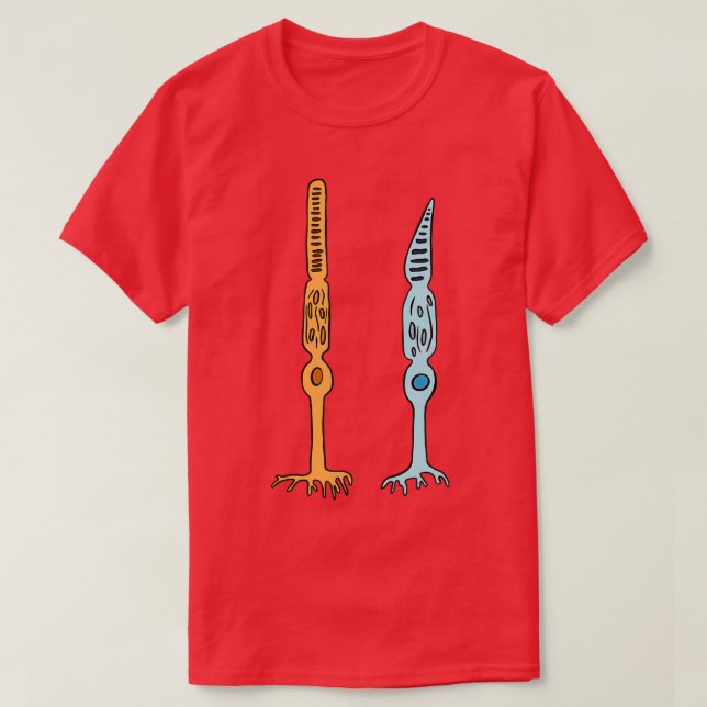 Camiseta Photoreceptors Rods And Cones Eyes  (Frente do Design)