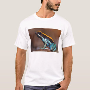 Camiseta Phyllobates vittatus, um sapo de veneno