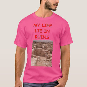 Camiseta Piada de arqueologia 16