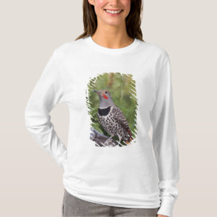 Camiseta Pica-pau-de-costas-vermelhas, Colaptes auratus, Re