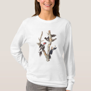 Camiseta pica-pau Marfim-faturado, 1829, (impressão)