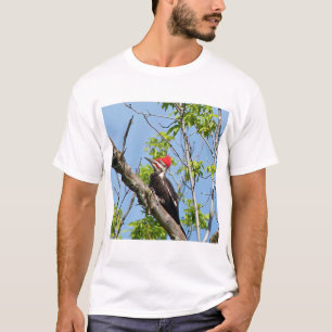 Camiseta Pica-Pau Pileado Masculino
