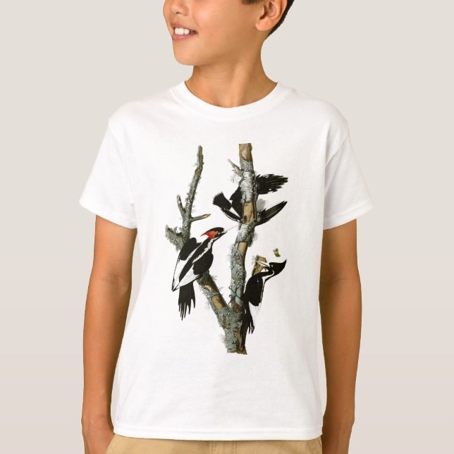 Camiseta Pica-pica-pau-marfim de Audubon (Frente)