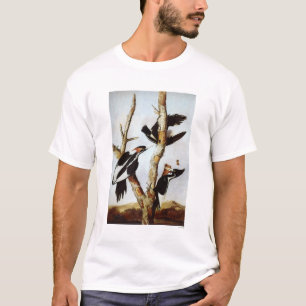Camiseta Pica-Pica-Pica-Pau