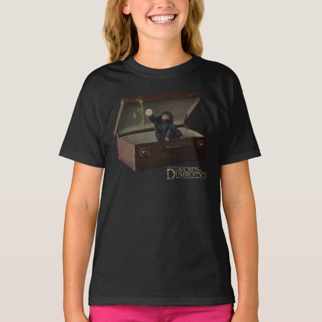 Camiseta Pickett e Ursinho em Briefcase (Frente)