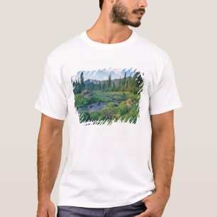 Camiseta Picnic Creek na Jewel Basin de Swan