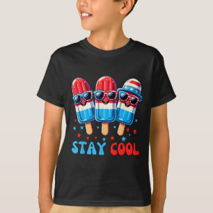 Camiseta Picolé Fique Legal 4 De Julho Homens Meninos EUA A
