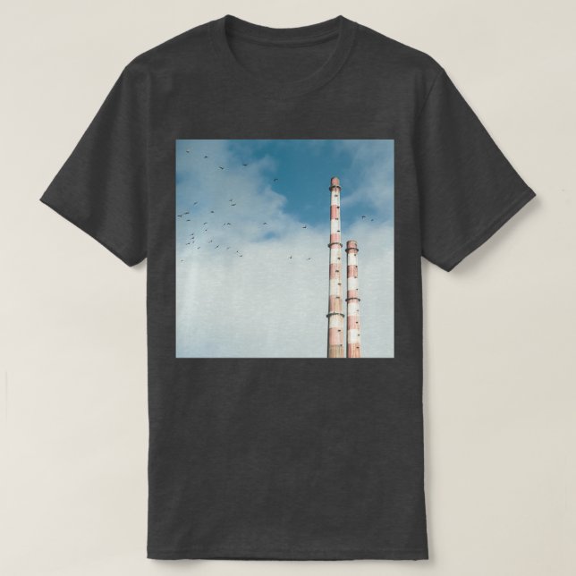 Camiseta Pigeon House 2 (Frente do Design)