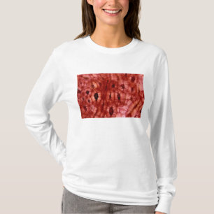 Camiseta Pilhas de Sclerenchyma de um poço da cereja