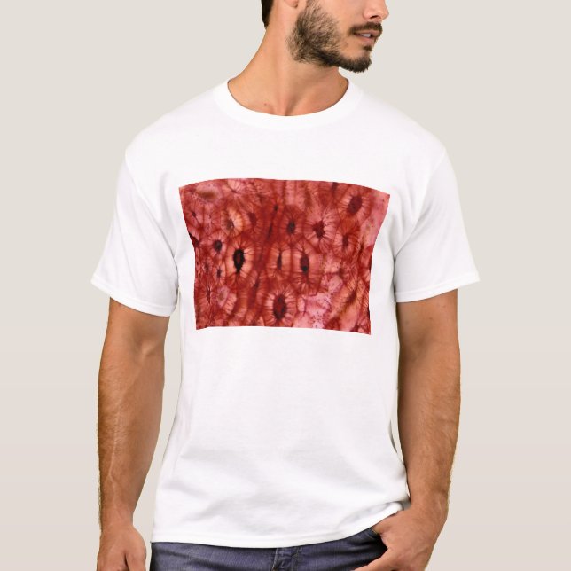 Camiseta Pilhas de Sclerenchyma de um poço da cereja (Frente)