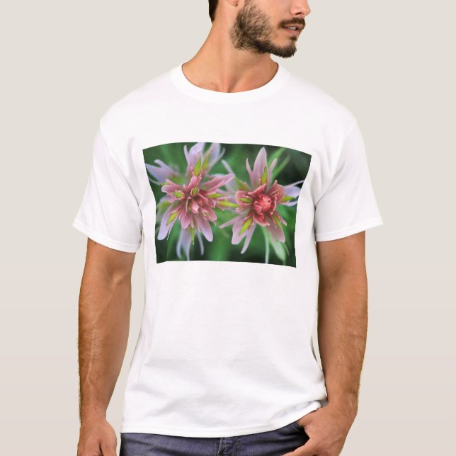 Camiseta Pincel Indiano, Banff NP, Alberta, Canadá (Frente)