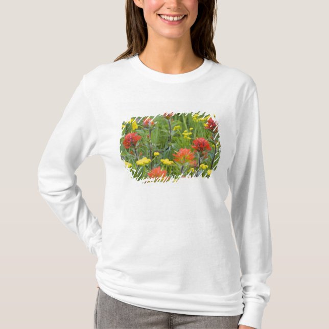 Camiseta Pincel indiano e flores silvestres de biscuitroot (Frente)