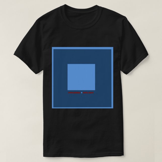 Camiseta Pinegrove Skylight álbum Classic T-Shirt (Frente do Design)