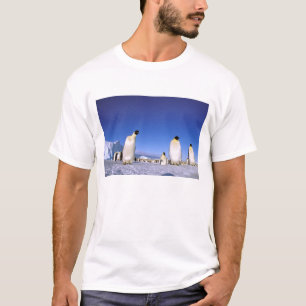 Camiseta Pinguim Antártida, Península Antártica