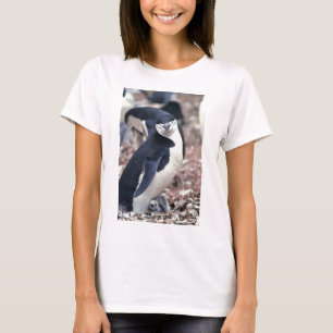 Camiseta Pinguim Ave Fofa Animal Preto Branco Água