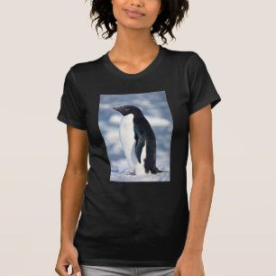 Camiseta Pinguim Bonito Bela Caridade Animais