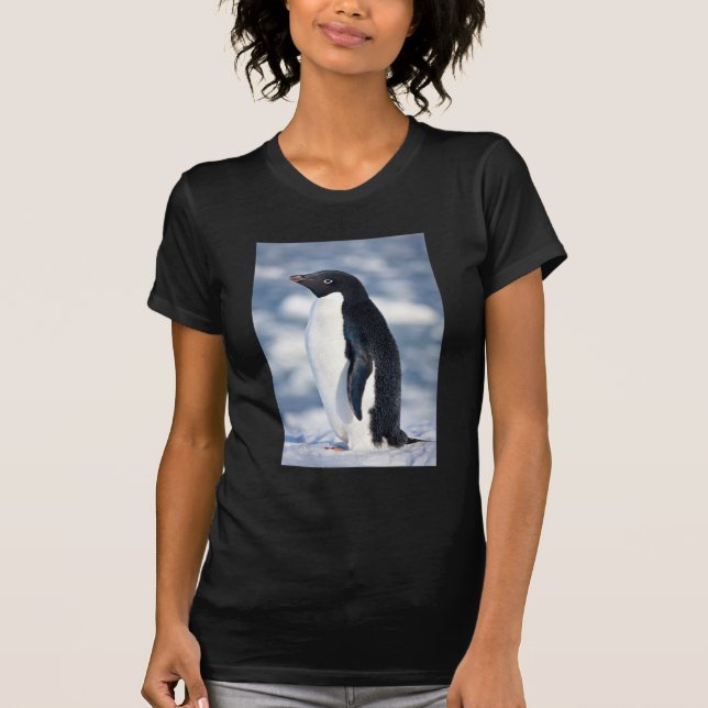 Camiseta Pinguim Bonito Bela Caridade Animais (Frente)