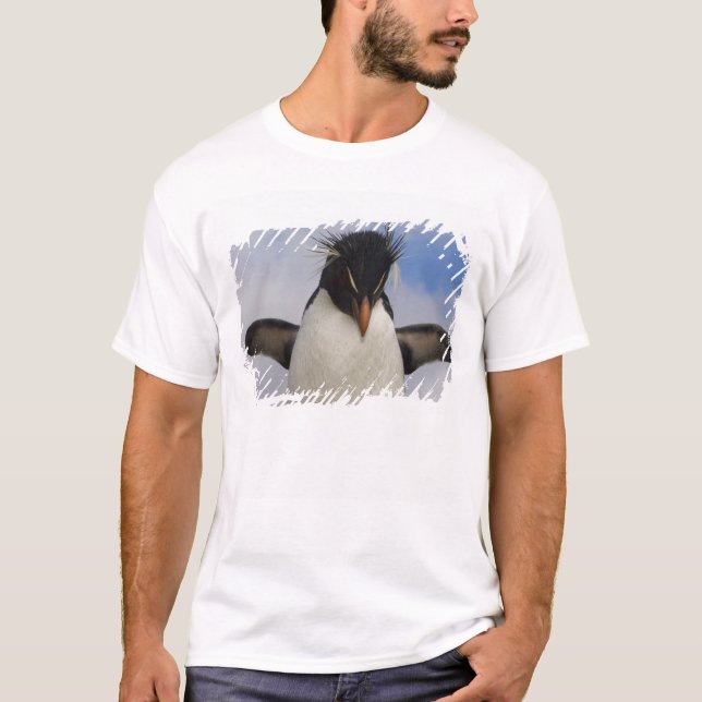 Camiseta Pinguim-de-crista Eudyptes chrysocome (Frente)