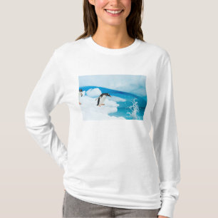Camiseta pinguim do gentoo, Pygoscelis Papua, saltando fora
