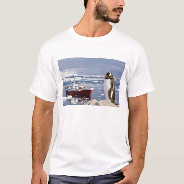 Camiseta Pinguim-gentoo (Frente)