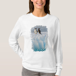 Camiseta pinguim-gentoo, Pygoscelis Papua, no gelo glacial