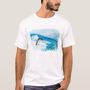Camiseta pinguim-gentoo, Pygoscelis Papua, saltando