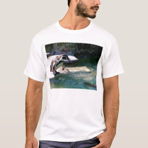 Camiseta Pinguim Humboldt