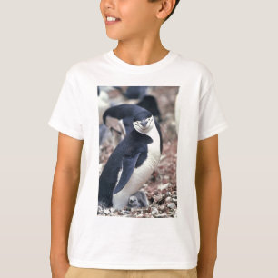 Camiseta Pinguim-Pássaro Cinto-Negro Água Branca