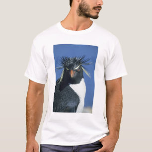 Camiseta Pinguim Saltador-rochoso (Eudyptes chrysocome)