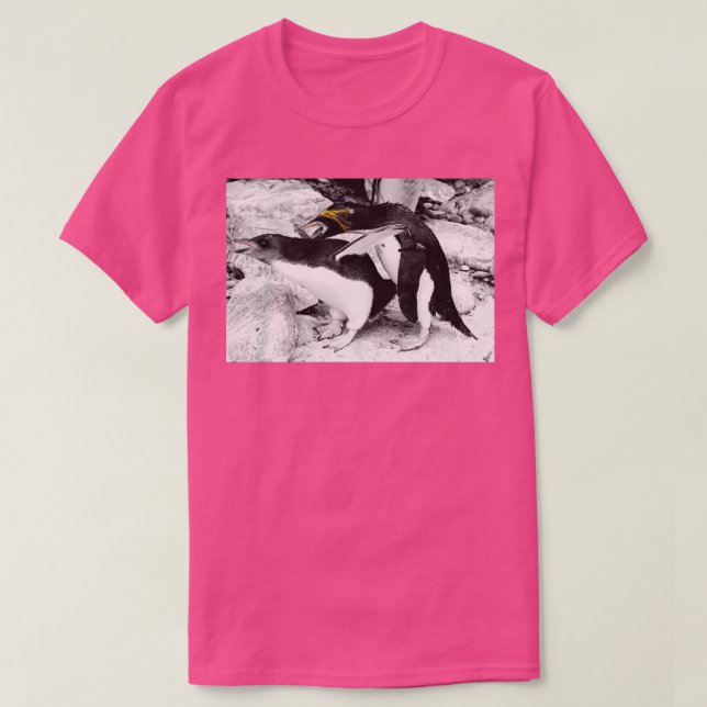Camiseta Pinguins 2 (Frente do Design)