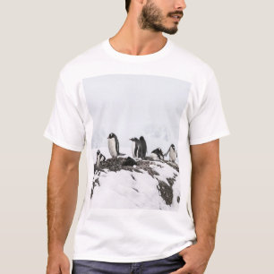 Camiseta Pinguins, Antártica, Estação Vernadsky.