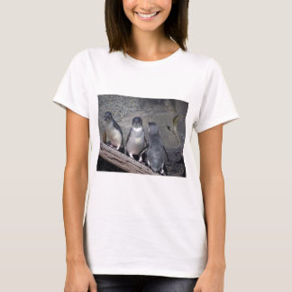 Camiseta Pinguins azuis pequenos