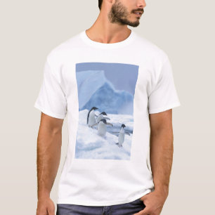 Camiseta Pinguins-de-adélia (Pygoscelis adeliae) no gelo,