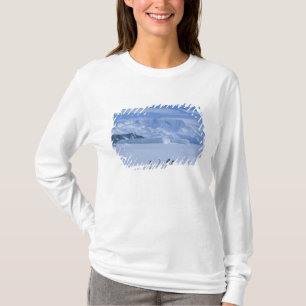 Camiseta Pinguins de Adélie, Pygoscelis adeliae),