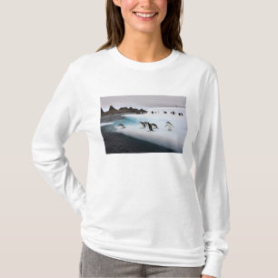 Camiseta Pinguins-de-barbicha