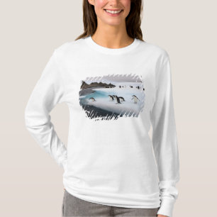 Camiseta Pinguins-de-barbicha