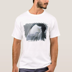 Camiseta Pinguins-de-barbicha, Pygoscelis antarctica),