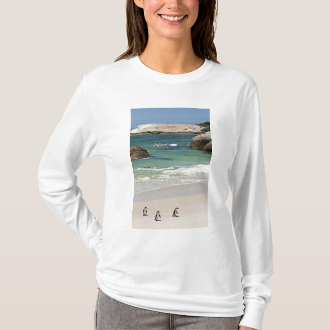 Camiseta Pinguins em Boulders Beach, Simons Town, Sul 2 (Frente)
