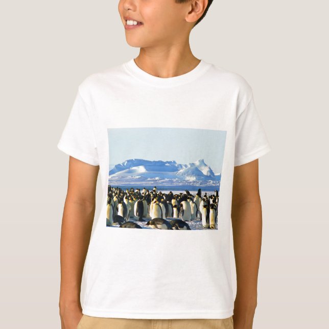 Camiseta Pinguins imperadores (Frente)