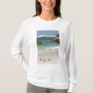 Camiseta Pinguins na Praia de Boulders, Simons Town, África