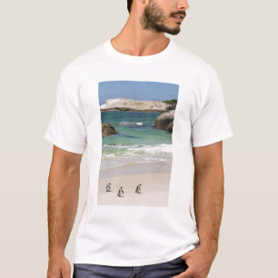 Camiseta Pinguins na Praia de Boulders, Simons Town, Sul 2