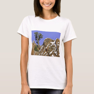 Camiseta Pinho de Bristlecone